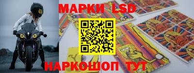 стафф Аргун
