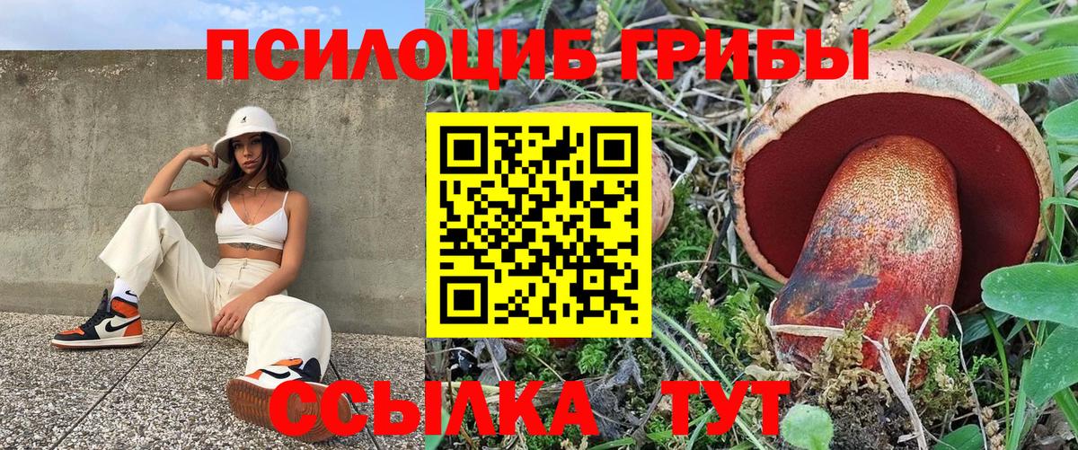 Галлюциногенные грибы мицелий  закладка  Беслан  Псилоцибиновые грибы Psilocybine cubensis  Вход с VPN 
